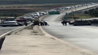 Başakşehirde yol verme kavgalarında sopa ve yumruklar havada uçuştu