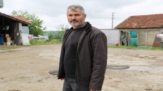 Başıboş köpekler, 60dan fazla tavuk ve ördek yavrusunu telef etti