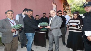 Başkalede domates fidesi dağıtıldı