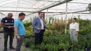 Başkan Tezcan park-bahçe düzenleme çalışmalarını inceledi