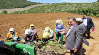 Baştuğdan ‘Çiftçiler Günü mesajı