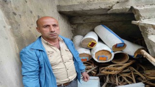 Batmanda aç kalan ayılar arı kovanlarına saldırdı