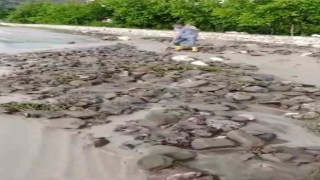 Batmanda sağanak heyelana neden oldu
