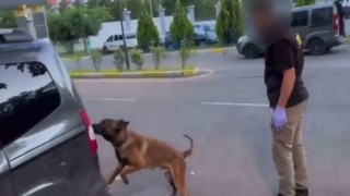 Batmanda takibe alınan araçlarda 93 kilo esrar ele geçirildi