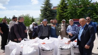 Bayburtta 252 üreticiye yüzde 40 devlet destekli 88 ton korunga tohumu dağıtıldı