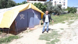 ‘Benden korkmuyorlar, alıştılar” diyen vatandaş, aç kalan domuzları köpek maması ve yemek artıklarıyla besliyor