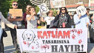 Beyzade Kayabaşı'ndan Katliam Tasarısına Karşı Eylem