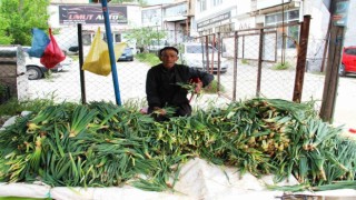 Kahramanmaraş'ta Çiriş zamanı