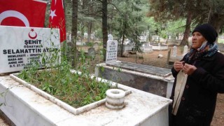 Bingölde 31 yıl önce şehit edilen öğretmenin annesi: Acısı hala bağrımda
