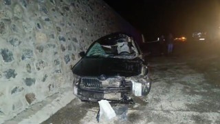 Bingölde otomobil ata çarptı: Kazada 1 kişi hayatını kaybetti