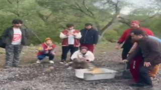 Bir yıldır veri alınamayan puhu kuşuna ulaşıldı