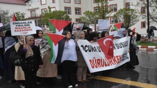 Bitlis Eren Üniversitesi öğrencilerinden, Filistin için 10 günlük oturma eylemi