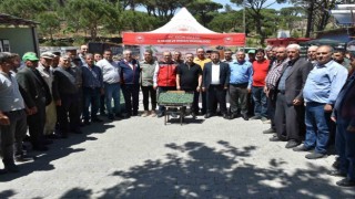 Bozdoğan domates üretim üssü olacak