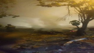 Bozdoğanda 70 ton saman kül oldu