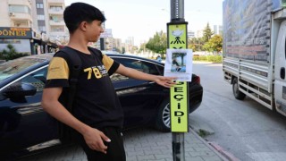 Bu ilana bir bakan bir daha bakıyor