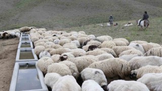 Büyükşehirden Pınarbaşıya mahalle mahalle tarımsal hizmet