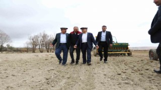Büyükşehirin mera vasfı kazandırdığı 600 dekar alan 6 ayda yeşile büründü