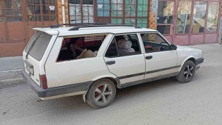 Çaldıkları aracı gezdikten sonra bırakıp kaçtılar