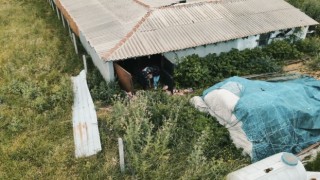 Çalıntı kurbanlıklar böyle bulundu: Operasyon anı drone kamerasında