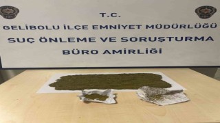 Çanakkale Geliboluda uyuşturucu operasyonu: 1 gözaltı