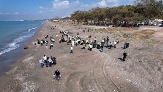 Caretta carettaların yumurtlama alanlarından Kazanlı sahili temizlendi