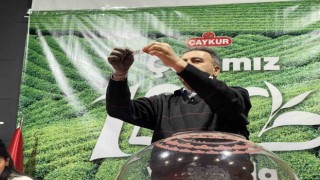 Çaykur alacağı 1072 işçiyi kurayla belirliyor