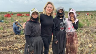CHP’li Kaya, Mevsimlik Tarım İşçilerini Ziyaret Etti