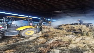 Cincinde meydana gelen yangında maddi hasar oluştu