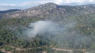 Dalamandaki orman yangını, büyümeden söndürüldü