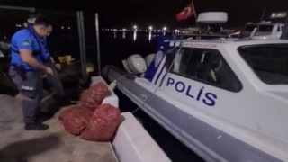 Denizde kaçak salyangoz avlayan kişiye 66 bin TL ceza