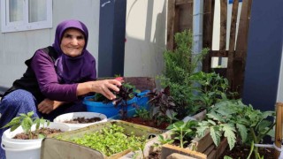 Depremde evi yıkılan 76 yaşındaki Eşe teyze, konteynerin önüne bahçe yaptı