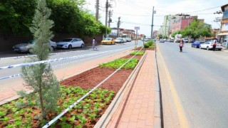 Diyarbakırda peyzaj çalışmaları sürüyor