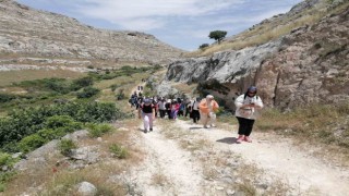 Doğaseverler Halfetide karagülü aradı