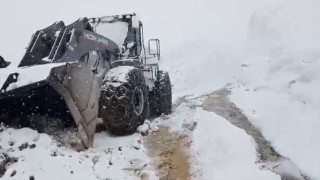 Doski Vadisinde mayıs ayında 5 metreyi bulan kar görüntüleri hayrete düşürüyor