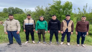 Edirnede 6 kaçak göçmen jandarmadan kaçamadı