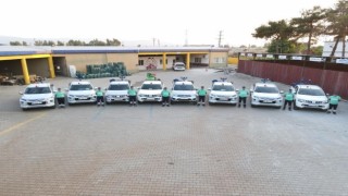 Efelerde gece ilaçlamaları başlıyor