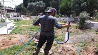 Efelerde mezarlıklar temizleniyor