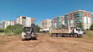 Efelerin ekipleri yangın riskine karşı çalışmalarını sürdürüyor