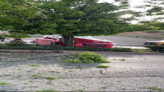 Elazığda otomobil ağaca çarptı: 3 yaralı