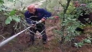 Emette düşen yıldırım orman yangınına neden oldu