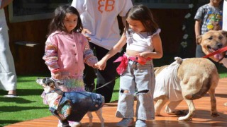 Engelli hayvanların defilesinden renkli sahneler