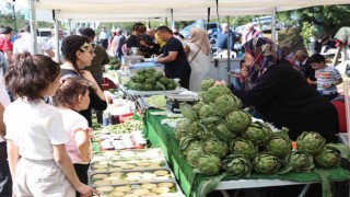 Enginarlı tatlılar festivale damga vurdu