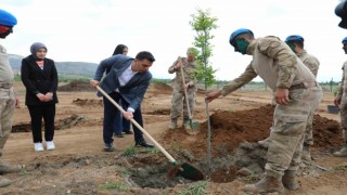 Erzincanda fidanlar toprakla buluştu