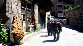 Erzurumda 36 bin 630 kişi tek yaşıyor