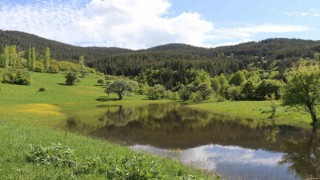 Erzurumun yaylalarında bahar esintisi