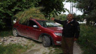 Eşini yormamak için otomobiliyle ot taşıyan yaşlı adam yürekleri ısıttı