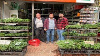 Eskişehirde fide dikim zamanı
