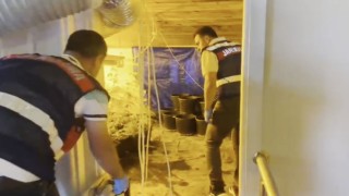Ev değil uyuşturucu serası