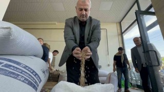 Faydaları saymakla bitmeyen pirinç şöhret yolunda