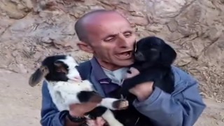 Fenomen çobanın hayvan sevgisi gülümsetiyor